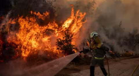incendi boschivi e catastrofe climatica